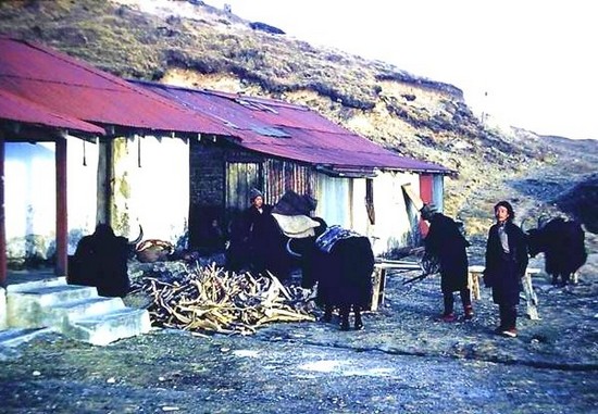 Huts at Sandakphu